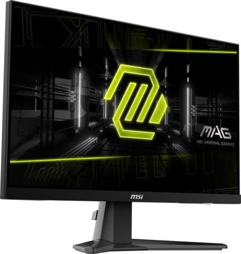 Monitor MSI MAG 256F