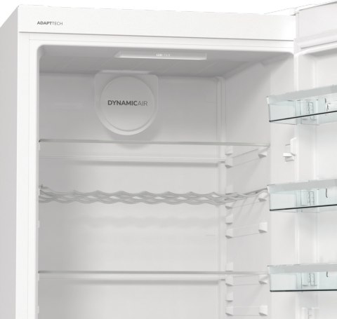 Chłodziarka GORENJE R619EAW6