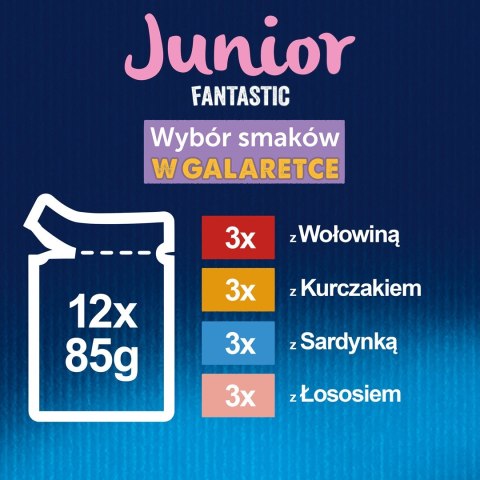 FELIX Fantastic Junior Kurczak - mokra karma dla kociąt - 12x85g