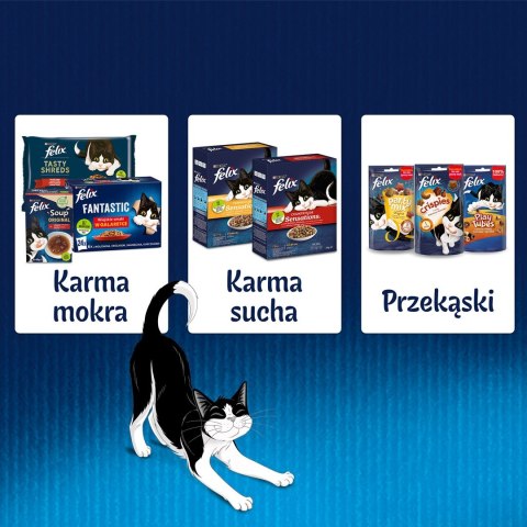 PURINA Felix Sensation: wiejskie smaki - karma dla kota - 24 x 85g