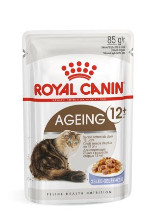 ROYAL CANIN FHN Ageing 12+ w galaretce - mokra karma dla kota starszego - 12x85g