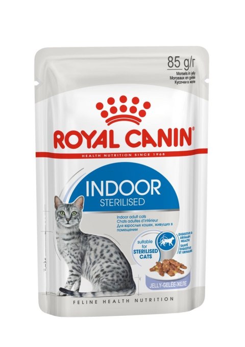 ROYAL CANIN FHN Indoor w galaretce - mokra karma dla kota dorosłego - 12x85 g