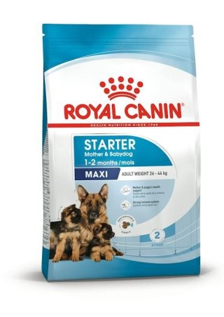 ROYAL CANIN SHN Maxi Starter Mother & Babydog - sucha karma dla psa - 4 kg