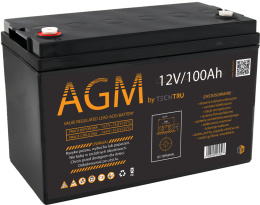 AGM Akumulator VRLA AGM 12V 100Ah