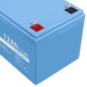 Qoltec Akumulator LiFePO4 Litowo-Żelazowo-Fosforanowy | 12.8V | 12Ah | 153.6Wh | BMS