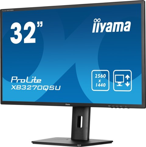 MONITOR IIYAMA LED 31,5"