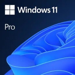 Windows Professional 11 64-bit All Lang Product Key