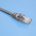 Qoltec Kabel Patchcord UTP | CAT5e | 2 x RJ-45 |1.5m | High speed | Gold