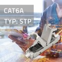 Qoltec Wtyk RJ45 beznarzędziowy STP | CAT6A | JACK PIN | T568B | T568A